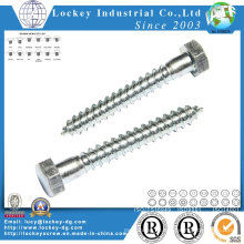 Acero inoxidable Coach Screw Lag Screw Hex Wood Tornillo